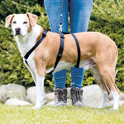 Actual product image Trixie Special harness Stay at risk of escape (XS, S, Dog, Dog sport)