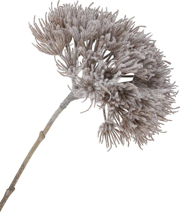 Image du produit House Nordic Nature (75 cm)
