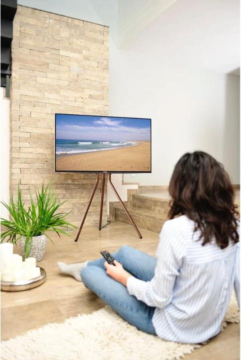 Productafbeelding Hama Schildersezel ontwerp (Universeel, 75", 40 kg)