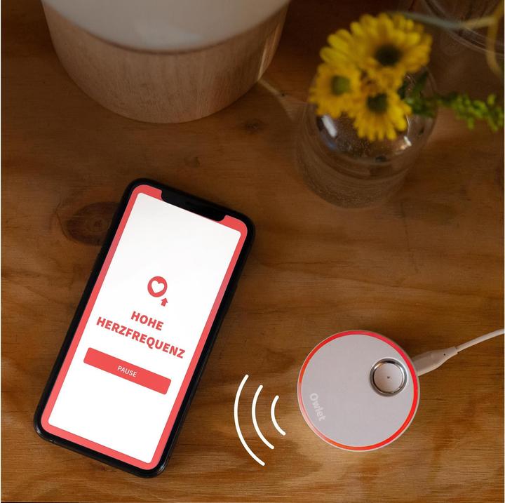 Immagine prodotto Owlet Calzino intelligente 3 (Audio del baby monitor, 30 m)