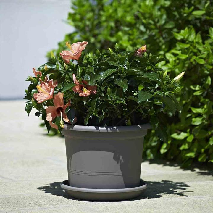 Produktbild Euro3plast Pflanzkübel (25 cm)
