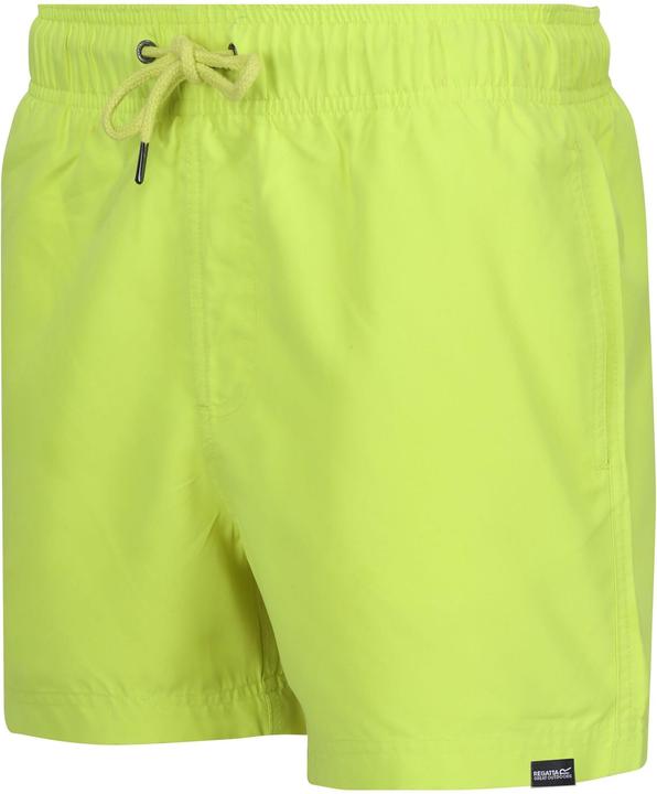 Actual product image Regatta Mens Mawson II Swim Shorts (M)