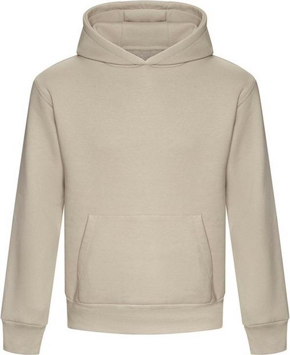 Image du produit Awdis Chandail à capuchon lourd unisexe Signature pour adultes (3XL)