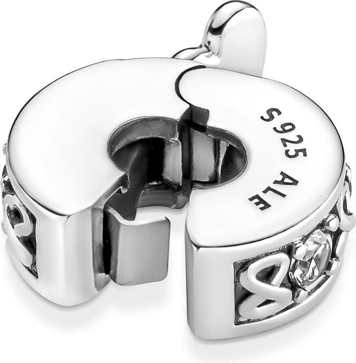 Actual product image Pandora Family Forever (Silver 925)