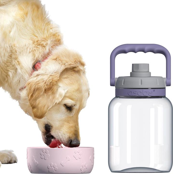 Produktbild Asobu The Barkely Bowl Bottle - pink - (84259104617) (1.50 l)