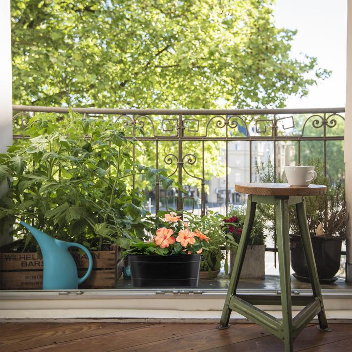 Produktbild Relaxdays Blumenkasten (38 cm)