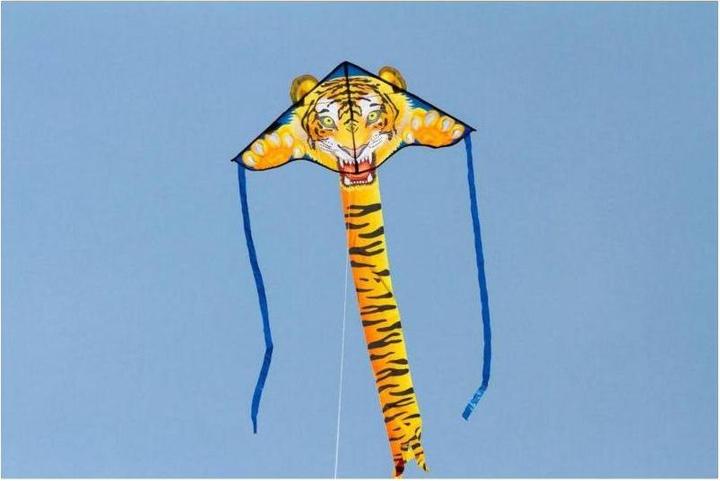 Actual product image Invento Simple Flyer Tiger