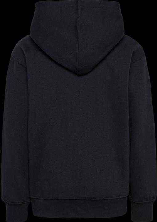 Actual product image hummel hmlCLEAN HOODIE (152)