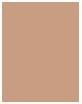 Actual product image Sensai Silky Bronze Natural Veil Compact (SC03 Medium)