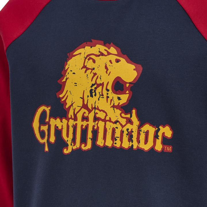 Image du produit hummel hmlHARRY POTTER BOYS T-SHIRT L/S (146)