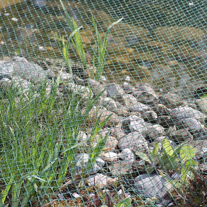Image du produit Siena Garden Filet de couverture de bassin