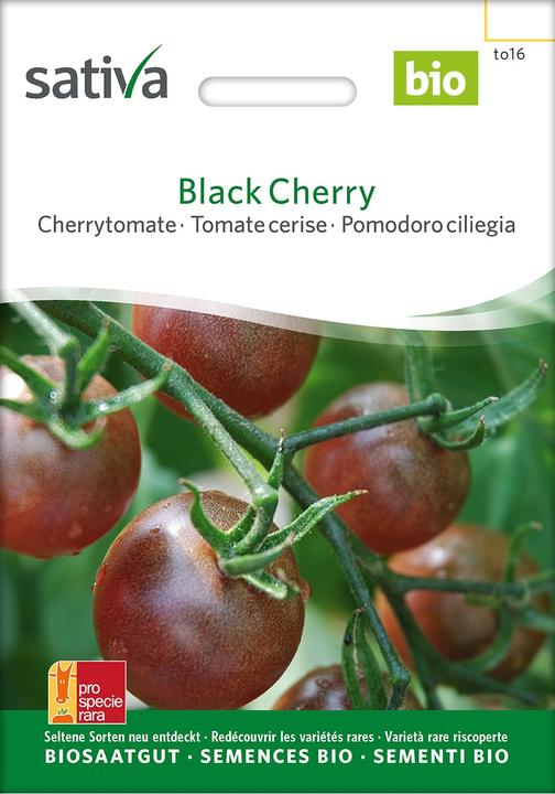 Immagine prodotto Sativa Pomodoro ciliegia Ciliegia nera (Bomba da seme)