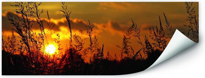 Image du produit Trenddeko Coucher de soleil (100 x 42 cm)