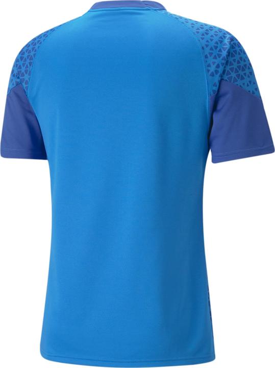Actual product image Puma teamCUP Training Jersey (S)