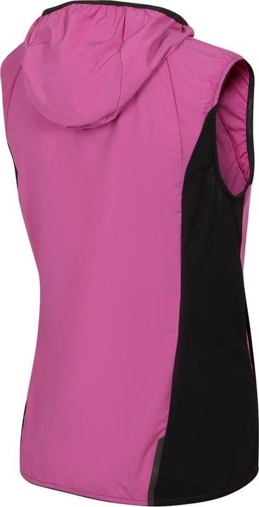 Immagine prodotto Directalpine Element Lady 1.0, Weste, Damen (Athletic Fit) - Direct Alpine, 300 (XL)