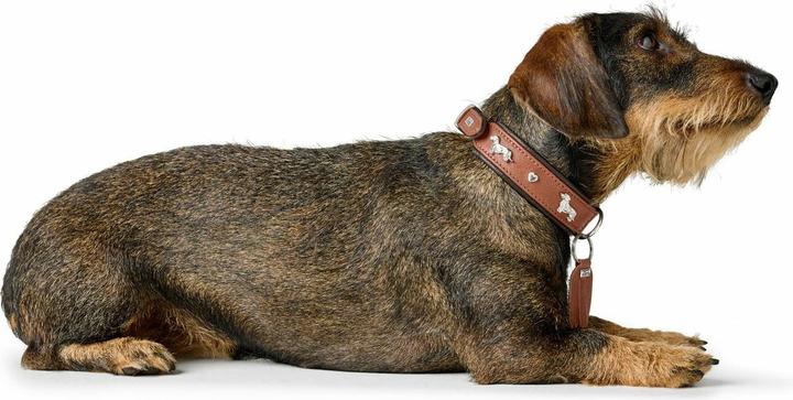 Actual product image Hunter Dachshund collar Munich 37/XS-S, cowhide leather (37, Dog, General)