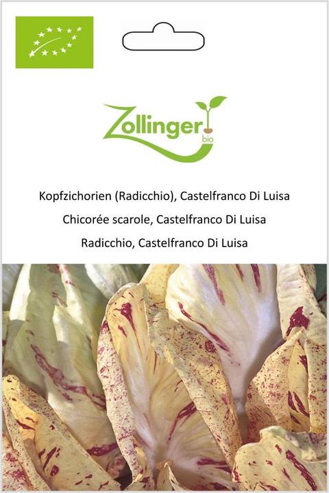 Produktbild Zollinger Bio Kopfzichorien (Radicchio), Castelfranco Di Luisa (Keimlinge)