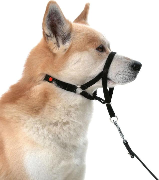 Produktbild Karlie Easy Leader (L, Hund, Allgemein)