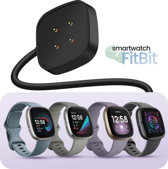 Actual product image Avizar SEC-FBV4 Charger