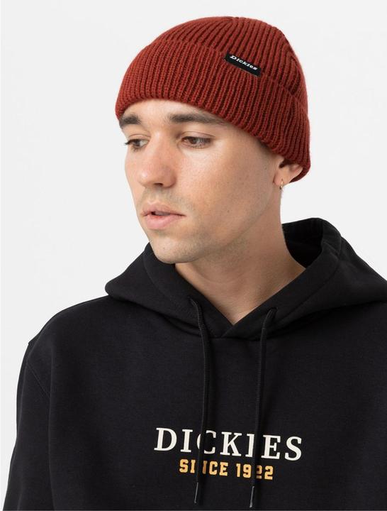 Produktbild Dickies Woodworth Beanie