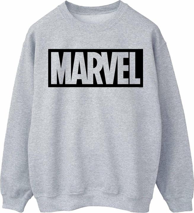 Womens/Ladies Outline Logo Sweatshirt (L)