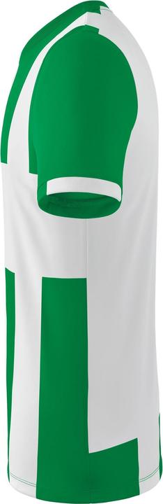 Produktbild Erima Siena 3.0 Trikot (164)