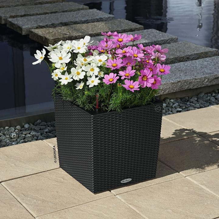 Image du produit Lechuza Cube Cottage (29.50 cm)