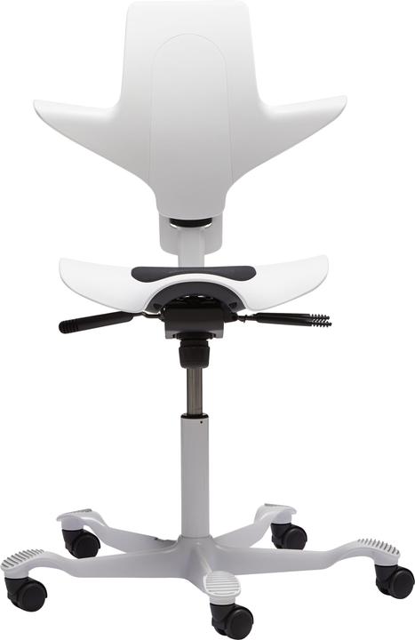 Produktbild HAG Capisco Puls 8010