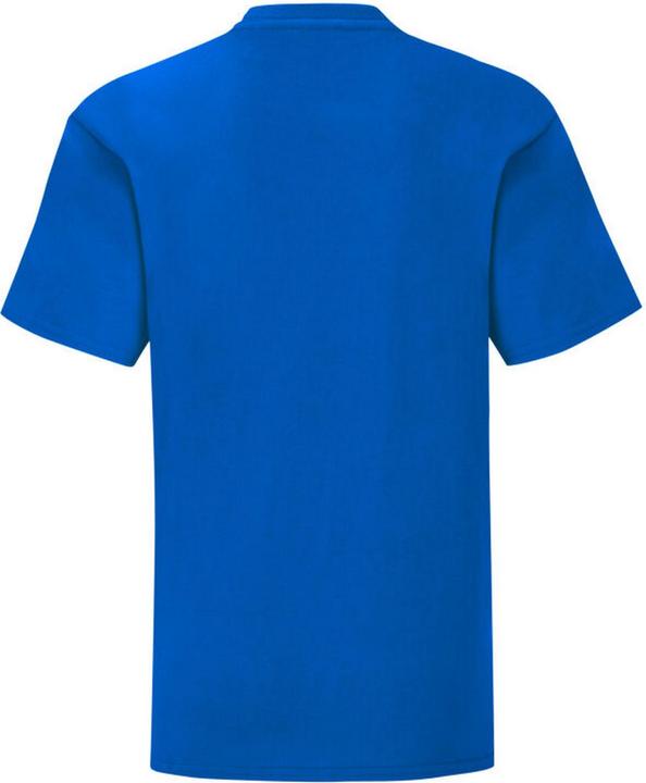 Actual product image Fruit of the Loom Childrens/Kids Iconic 150 T-Shirt (128)