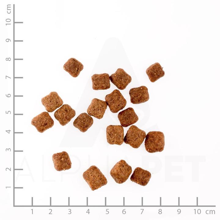 Actual product image Wolfsblut Wild Duck Small Breed (Adult, 1 pcs., 2000 g)