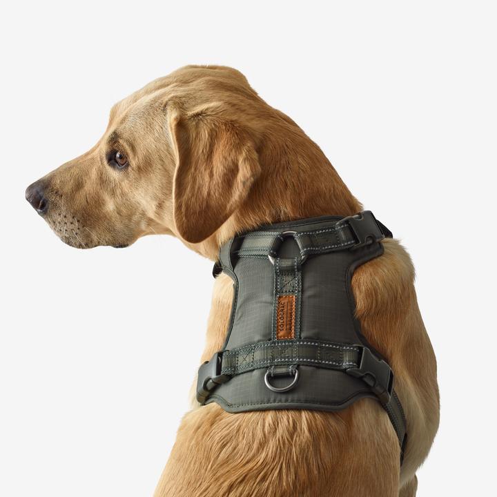 Image du produit Solognac Harnais pour chien 500 Outdoor (S, Chien)