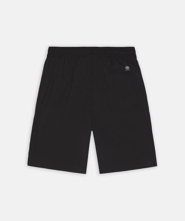 Image du produit Dickies Short cargo Jackson (L)