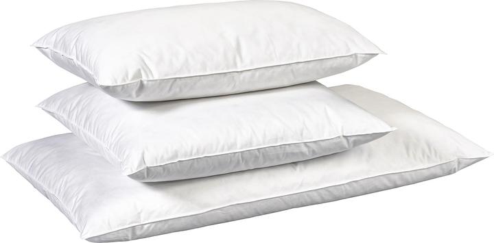 Image du produit Billerbeck Edition Madlen (50 x 70 cm)