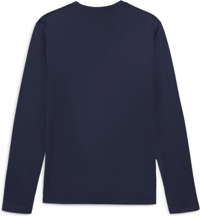 Puma teamGOAL Training Sweat