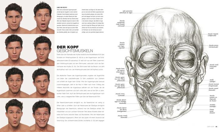 Produktbild Anatomie für Künstler (Deutsch, Sarah Simblet, 2021)