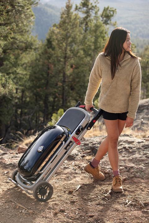 Produktbild Weber Traveler (3.80 kW)