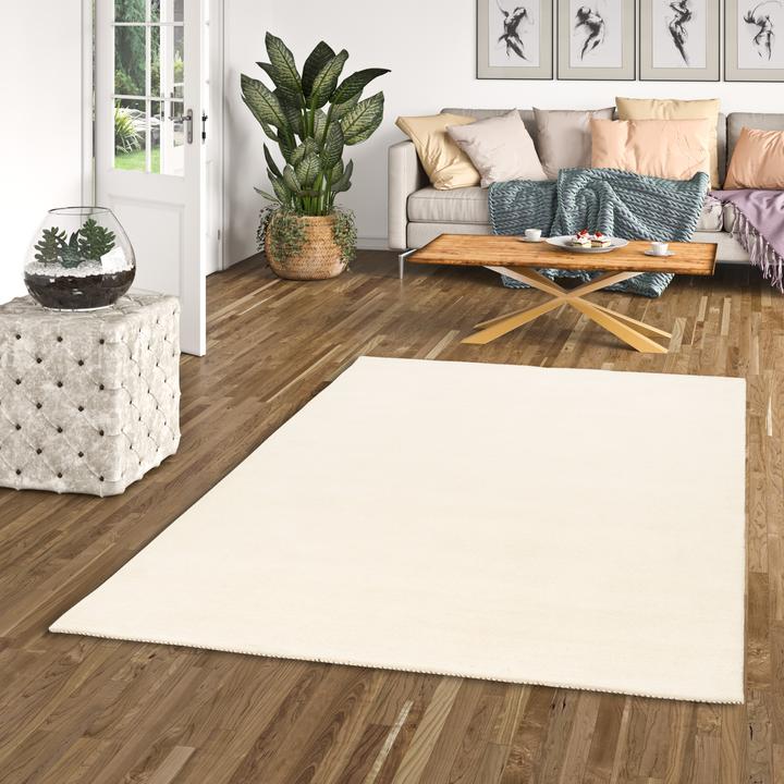 Image du produit Theko Tapis Nature Indo Gabbeh Ella (120 x 180 cm)