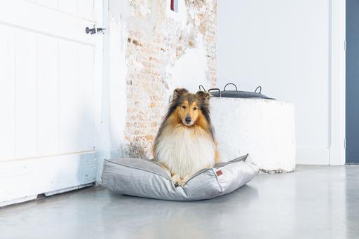 Productafbeelding Designed by Lotte Nalino (Hond)