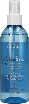 Produktbild Ziaja Gdan Skin (Körperlotion, 200 ml)