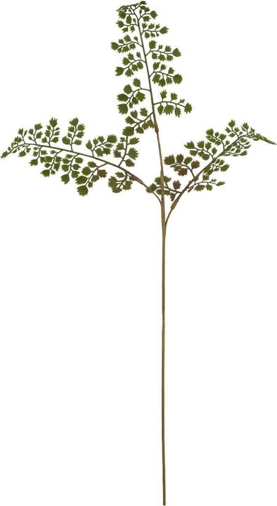 Image du produit Hill Interiors - Fleur artificielle THE NATURAL GARDEN COLLECTION (64 cm)