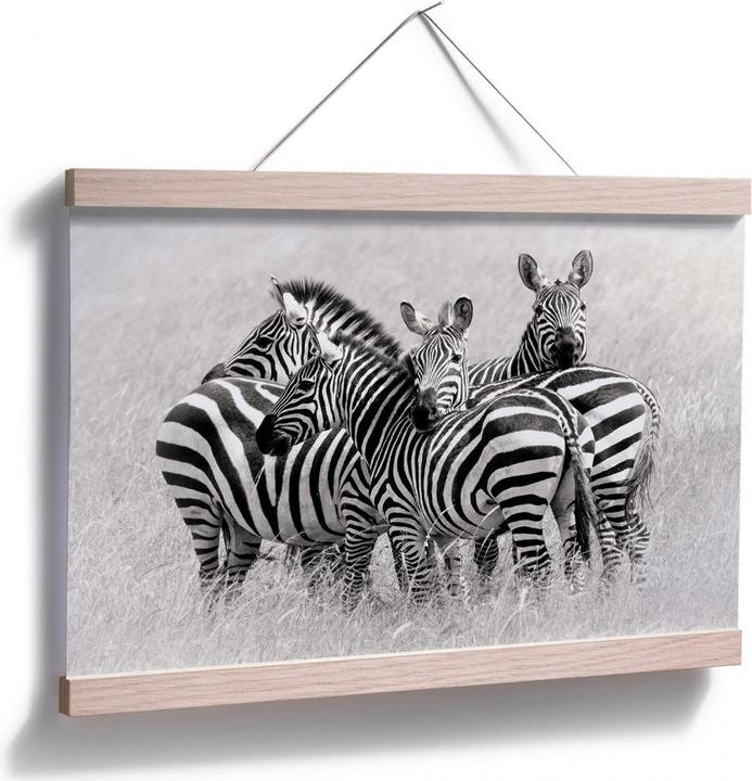 Actual product image Trenddeko Trubitsyn - Zebras in the Savannah (45 x 30 cm)