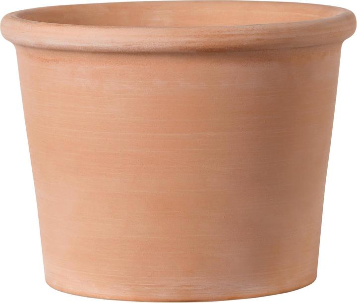 Actual product image Deroma White Garden (27.80 cm)