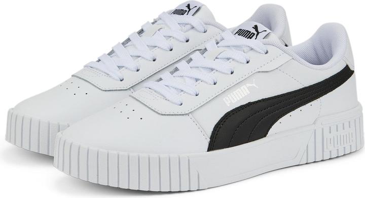 Puma Blanc, Puma Noir, Puma Argent