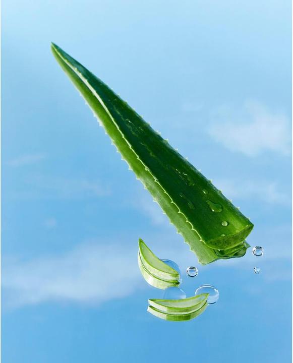 Produktbild NIVEA Aloe Pflege Body Lotion Fl 400ml (Körperlotion, 400 ml)
