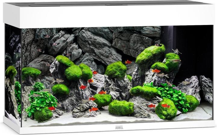 Image du produit Juwel Aquarium Rio (125 l)