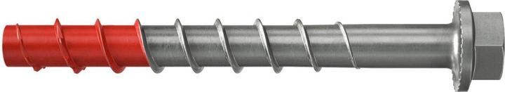 Fischer 543572 (50 Stk.)