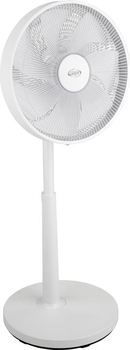 Actual product image Argo Table floor fan 61 db (61 dB)