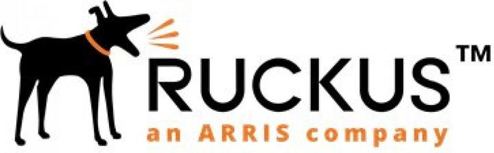 Actual product image Ruckus Multipurpose mounting bracket