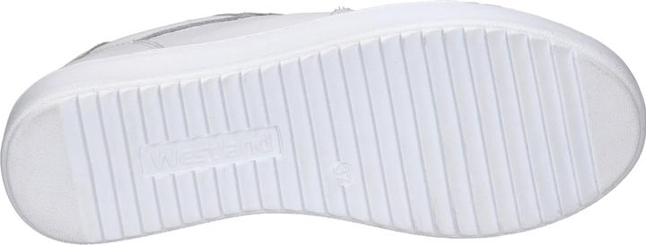 Image du produit Westland 36801-491 (36)