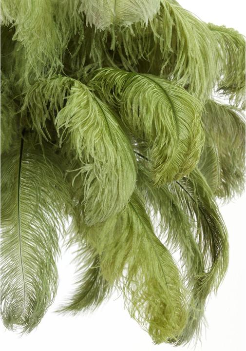 Produktbild Light & Living Feather